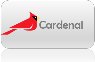 Ecosistema de Aplicaciones SaaS Condor Innovation Services